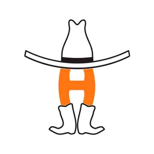 Houston Livestock Show And Rodeo: Hank Williams Jr.