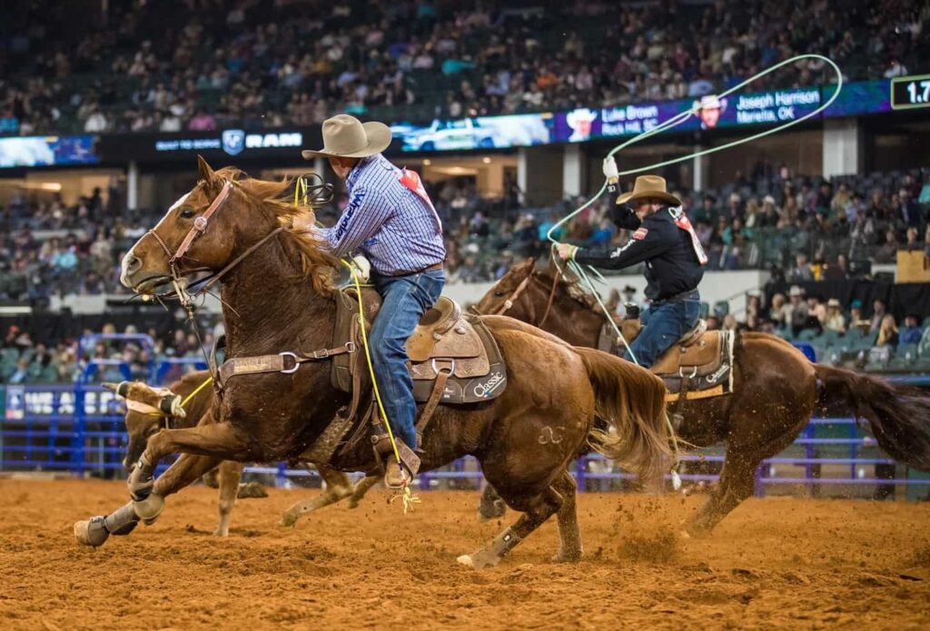 Lenovo Center Rodeos 2024/2025